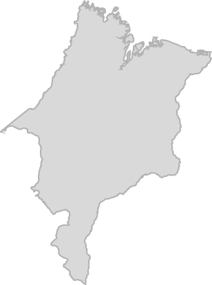 Polygon