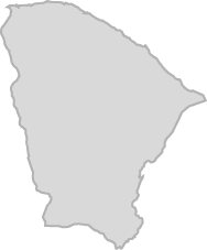 Polygon