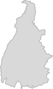 Polygon