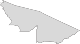 Polygon