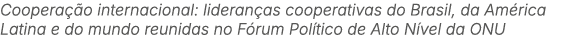 Coopera o internacional: lideran as cooperativas do Brasil, da Am rica Latina e do mundo reunidas no F rum Pol tico ...