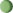 Oval