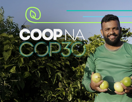 Coops rumo à COP30: seleções abertas para painéis temáticos  