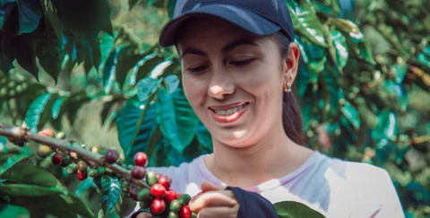 Grupo Cafeína da Cocatrel traz conhecimento, informações e empoderamento para as mulheres produtoras de café da região de Três Pontas em MG
