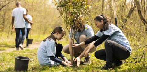 Sicoob Coopemata lança sua Agenda de Neutralização de CO2