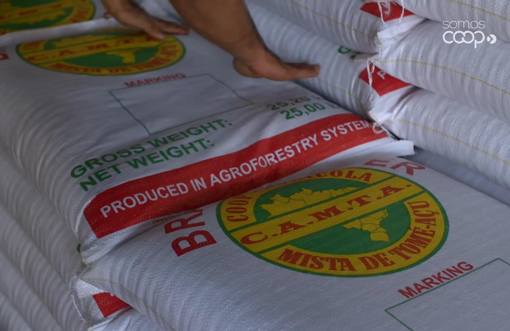 CAMTA: da crise da pimenta-do-reino ao reconhecimento mundial