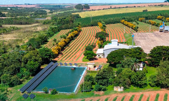 Sicoob Montecredi apoia regeneração de “terra adormecida" e fortalece agricultura carbono neutro