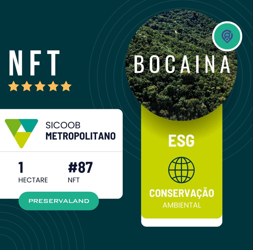 Sicoob Metropolitano usa tecnologia blockchain para preservar a Mata Atlântica