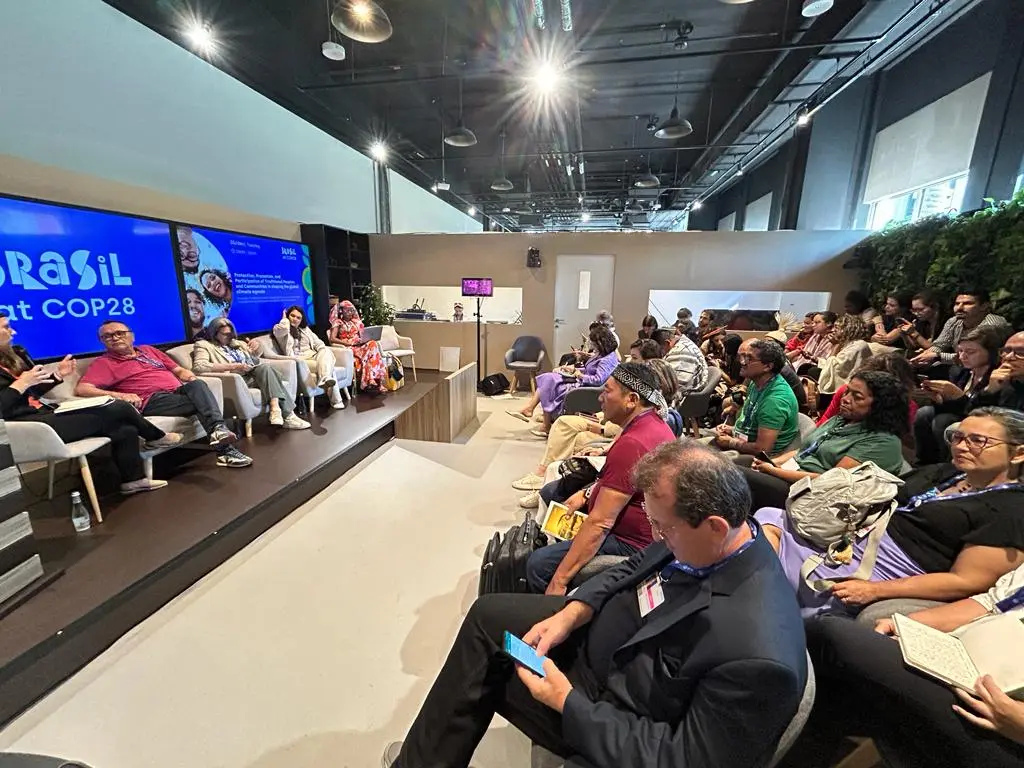 COP 28: cooperativismo atua na manutenção da floresta em pé