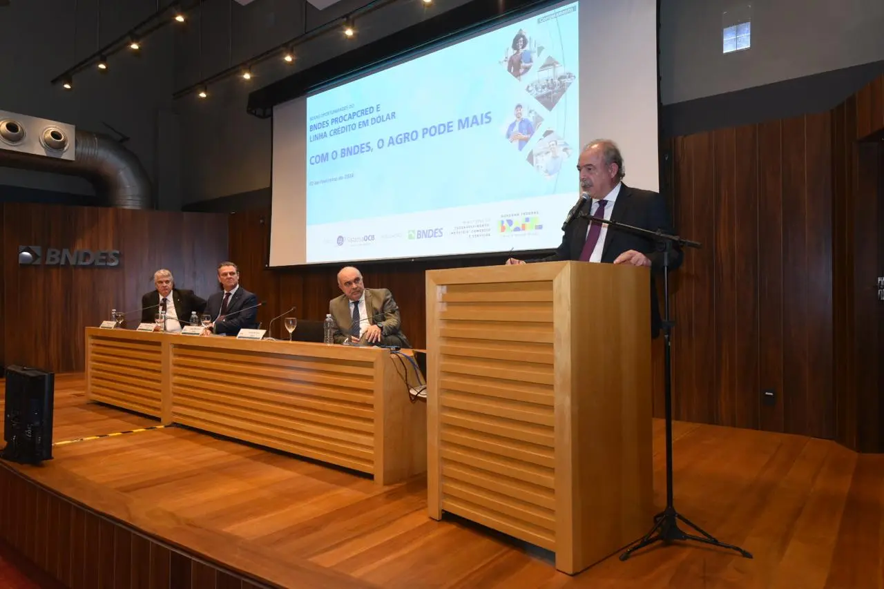 Aloízio Mercadante, presidente do BNDES, em fala durante anúncio de mudanças no Procapcred