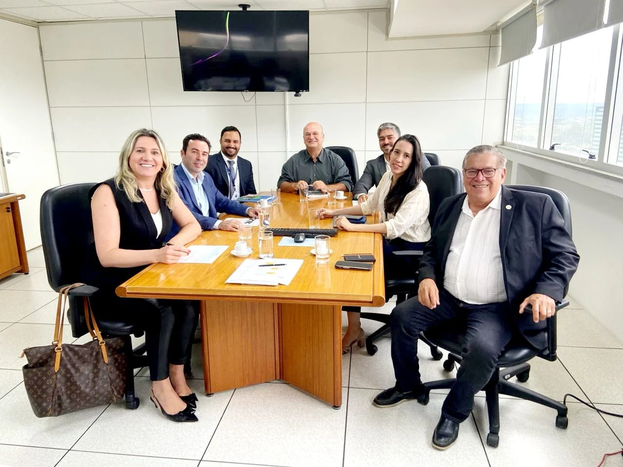 Membros do Sistema OCB e MME 