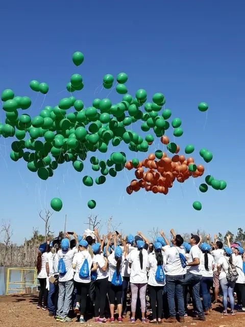 Cooperativas de Mato Grosso inovam e realizam plantio eólico para celebrar o Dia C