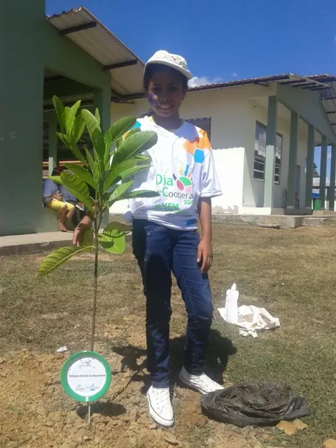 AC | Árvores para o futuro