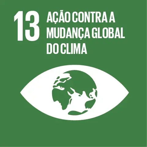 O DIA C E OS OBJETIVOS DE DESENVOLVIMENTO SUSTENTÁVEL (ODS)