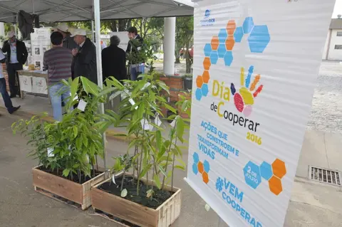 Credija lança Dia de Cooperar com distribuição e plantio de mudas