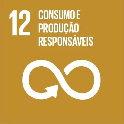 O DIA C E OS OBJETIVOS DE DESENVOLVIMENTO SUSTENTÁVEL (ODS)