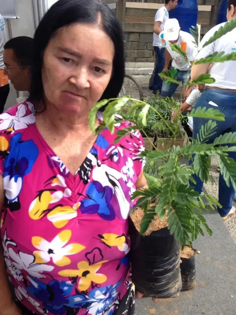 RN | Prefeitura de Currais Novos distribui mudas de árvores no Dia C