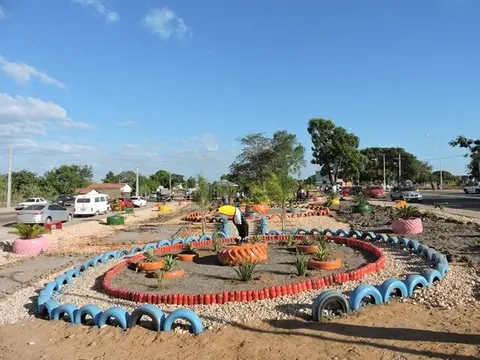Voluntários de Tocantins iniciam ações do Dia de Cooperar 2016