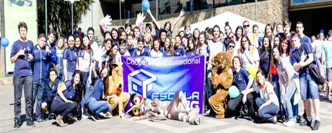 Dia C no combate à dengue e ao H1N1