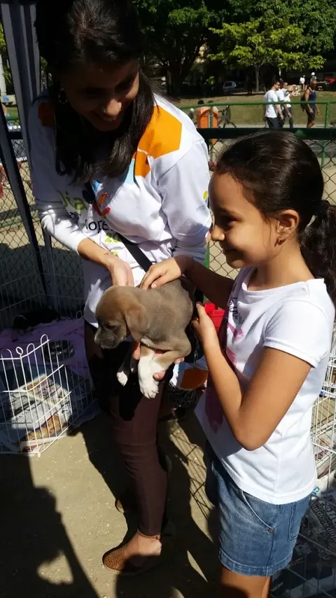 RJ | Campanha de Adoção de animais é sucesso no Rio de Janeiro