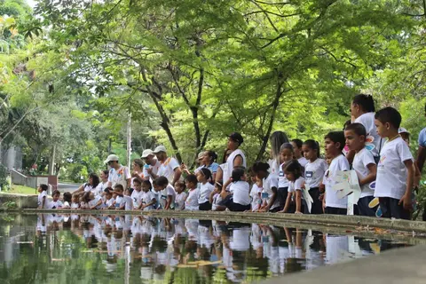 Coopanest PB leva crianças para passeio ecológico