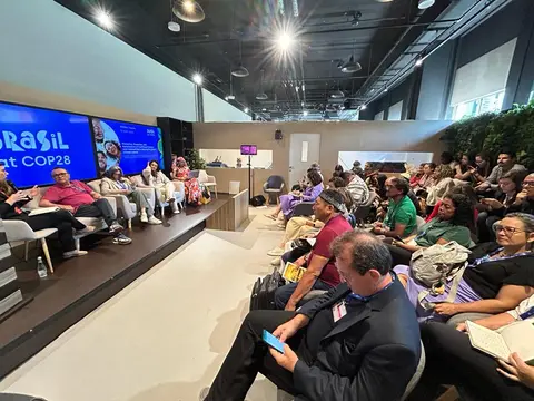 COP 28: cooperativismo atua na manutenção da floresta em pé