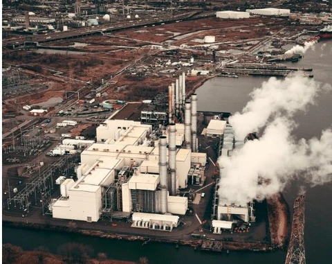 Webinário destaca desafios e oportunidades do Mercado de Carbono