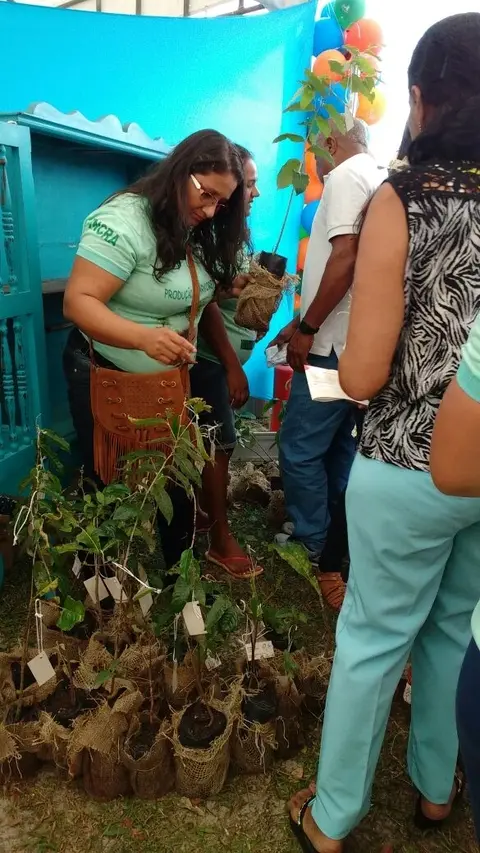 SE | Mudas frutíferas são doadas no Dia C