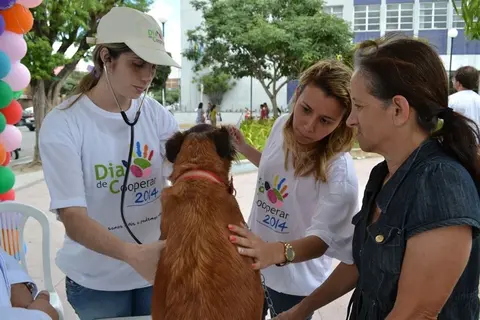Coopemater prepara Dia C em abrigo de animais