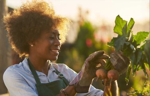 Coop apresenta demandas para o Plano Safra da Agricultura Familiar